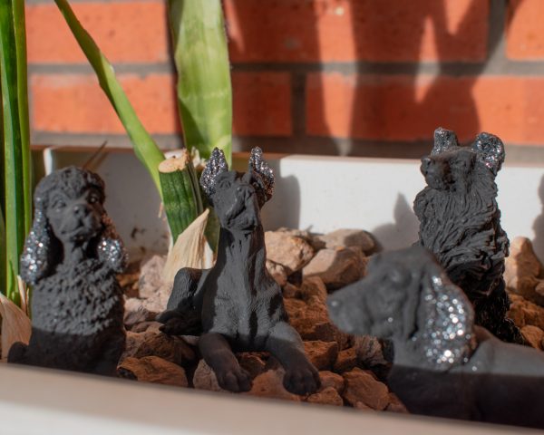 Lava Animals