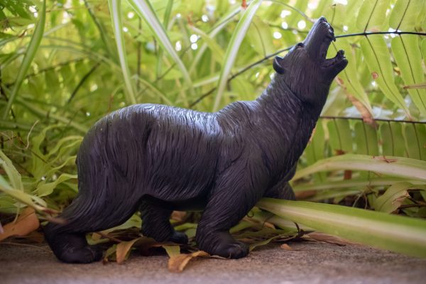Onyx Bear - Image 3