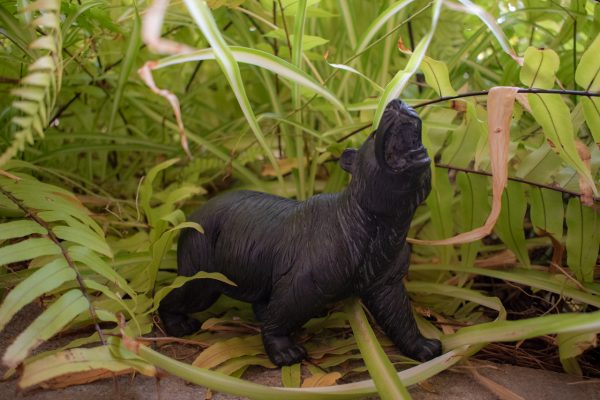 Onyx Bear