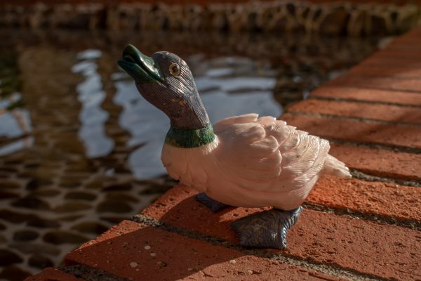 Pink Quartz Duck
